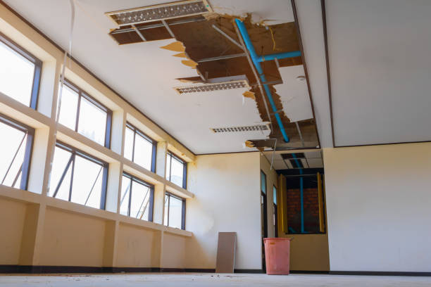 Best Water damage contractors near me  in Dauphin, PA