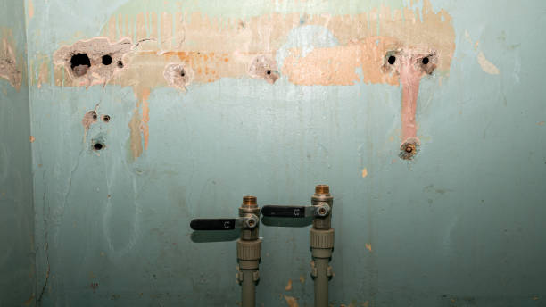 Best Flood damage cleanup  in Dauphin, PA