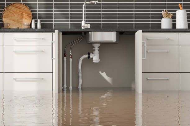 Best Ceiling water damage repair  in Dauphin, PA