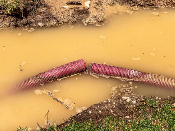 Best Water damage cleanup near me  in Dauphin, PA